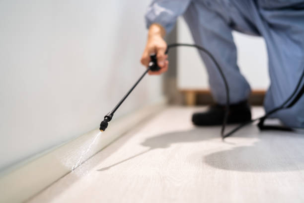 Best Residential Pest Control  in Fredonia, WI