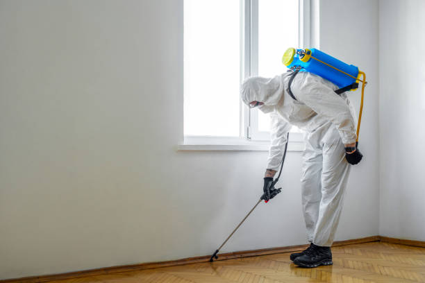 Trusted Fredonia, WI Pest Control Experts