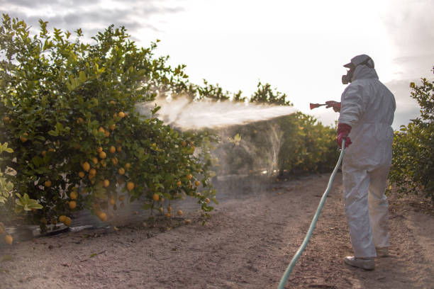 Best Cockroach Control Services  in Fredonia, WI