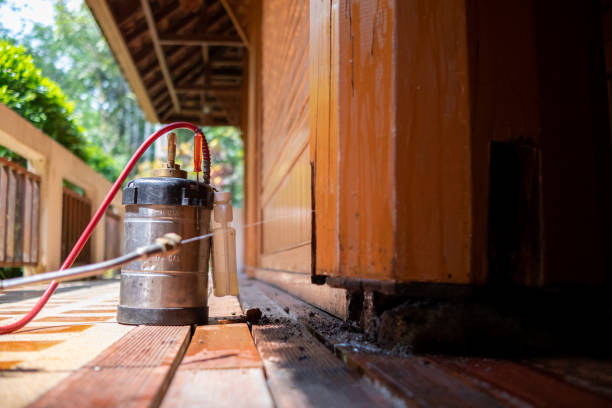 Best Mosquito Control Services  in Fredonia, WI