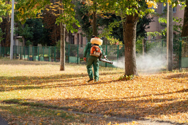 Best Rat Extermination Near Me  in Fredonia, WI
