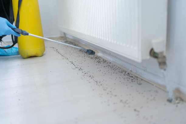 Best Bed Bug Extermination  in Fredonia, WI