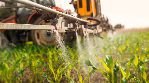 Best Pest Prevention Services  in Fredonia, WI